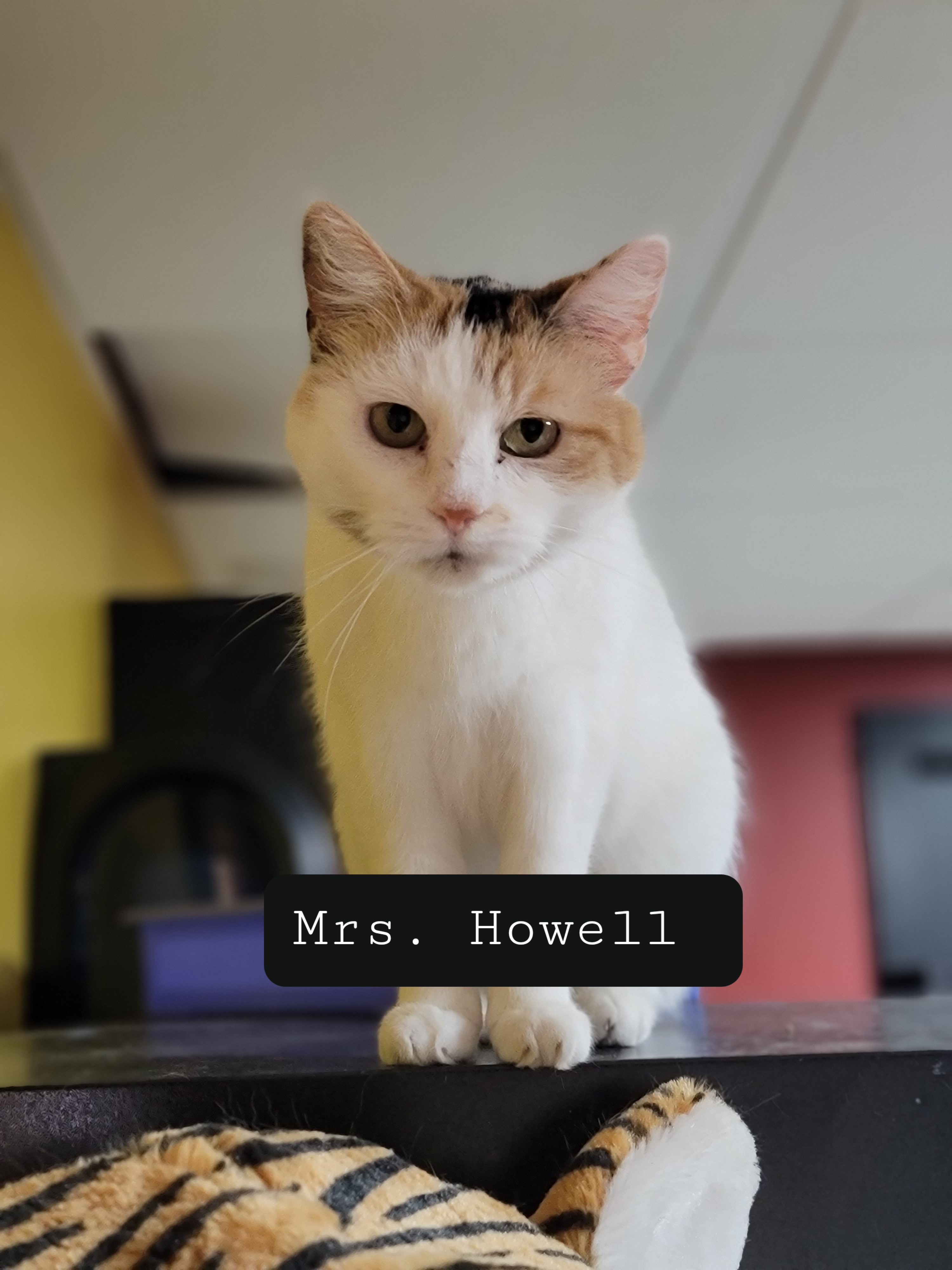 Mrs. Howell Beams Corner