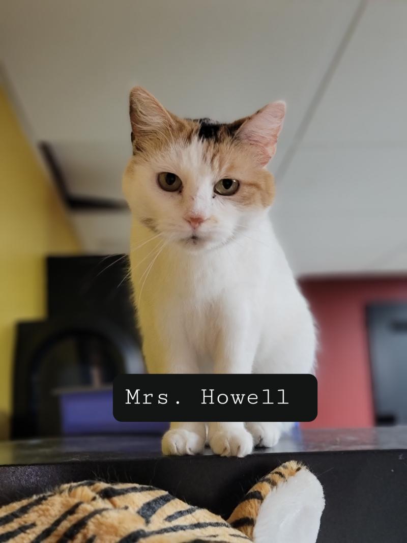 Mrs. Howell Beams Corner