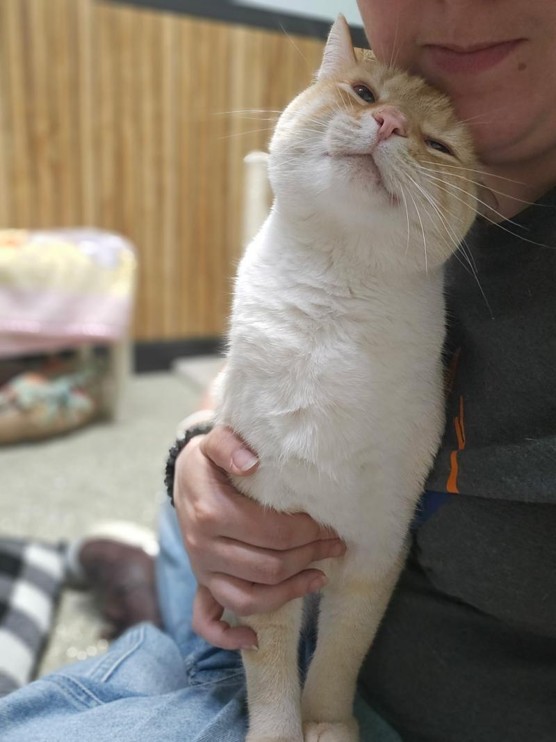 Milo snuggles!
