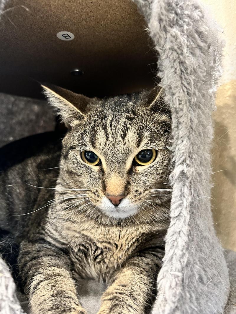 Don't interrupt a nap