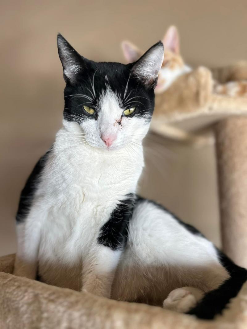 You woke me up