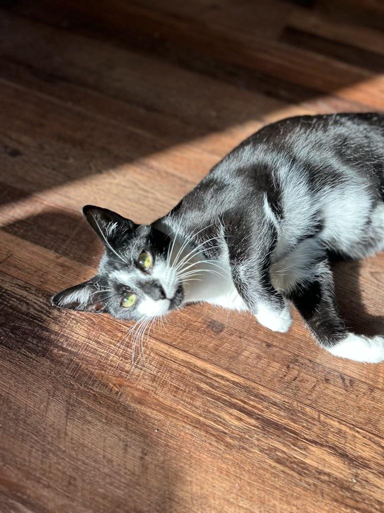Joe basking in sunshine