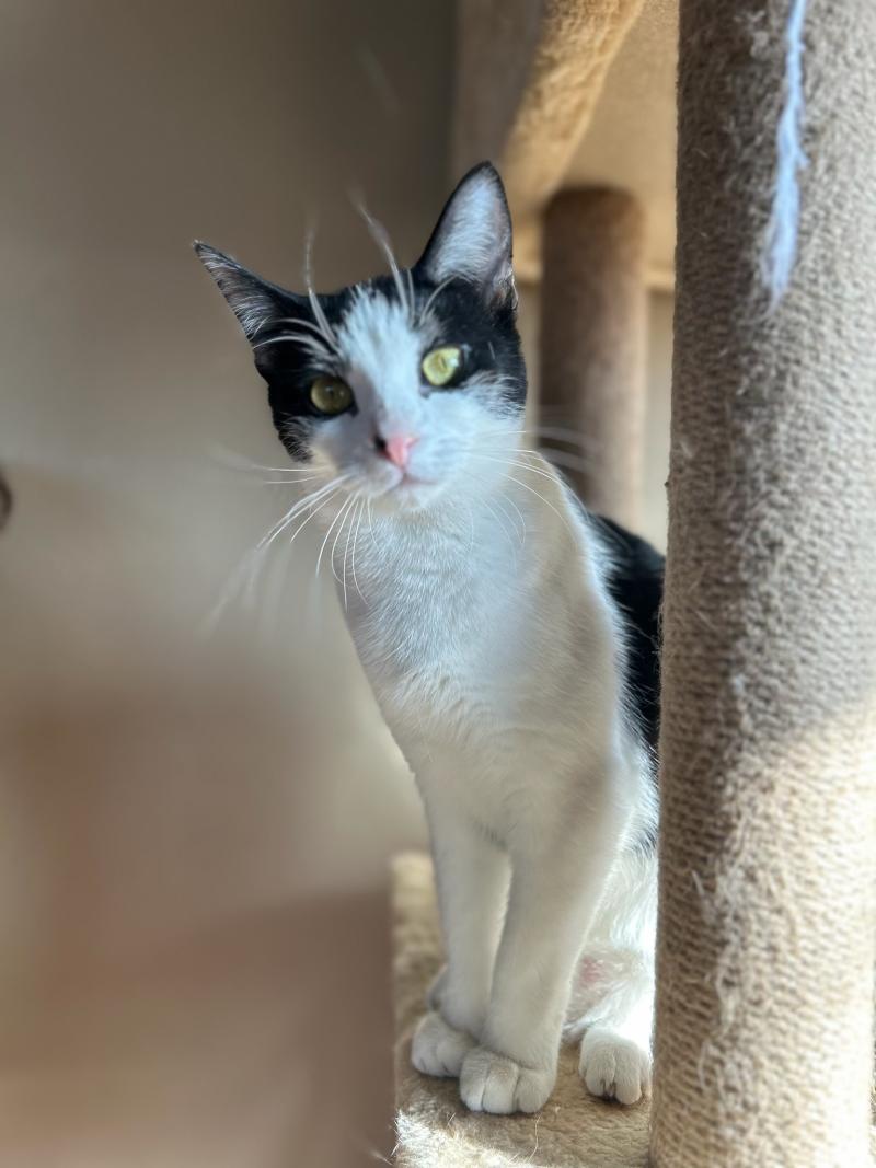 Come play with me!