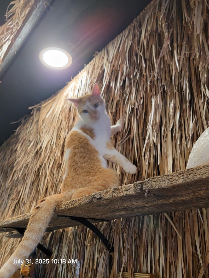 Belinda on top of the world.