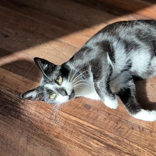 Joe basking in sunshine