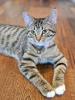 Patty, iz I cute?